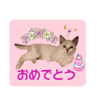メイちゃん 2（個別スタンプ：12）