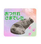 メイちゃん 2（個別スタンプ：13）