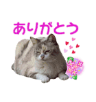メイちゃん 2（個別スタンプ：14）