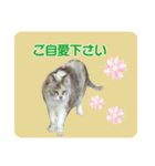 メイちゃん 2（個別スタンプ：16）