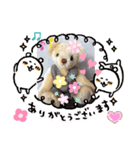 ハンドメイドベアちゃんかわいい日常使える（個別スタンプ：6）