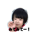 こうがの色々（個別スタンプ：1）