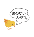 かわいい大人女性の日常スタンプ（個別スタンプ：5）