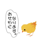 かわいい大人女性の日常スタンプ（個別スタンプ：6）