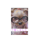 ヨーキーのマナちゃん（個別スタンプ：7）