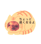 ヨーキーのマナちゃん（個別スタンプ：13）
