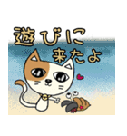 可愛い猫 夏（個別スタンプ：23）