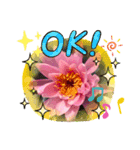 お花とほめ言葉 日常使えるやさしい（個別スタンプ：6）