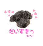 我が家のお犬様！Rifuだワン！2（個別スタンプ：3）