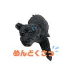 我が家のお犬様！Rifuだワン！2（個別スタンプ：4）