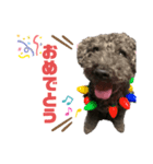 我が家のお犬様！Rifuだワン！2（個別スタンプ：7）