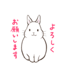 2.うさぎ足りてますか？きなこ＆しらたま（個別スタンプ：20）