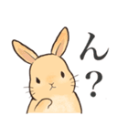 2.うさぎ足りてますか？きなこ＆しらたま（個別スタンプ：37）