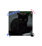 ねこのかぞく the cats family（個別スタンプ：10）