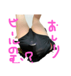 キッシーの酒場放浪記（個別スタンプ：12）