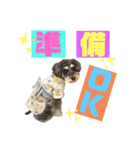 シュナウザー(リンク)（個別スタンプ：14）