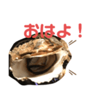 私は牡蠣を食べたい（個別スタンプ：4）