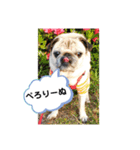 白パグななちゃん（個別スタンプ：4）