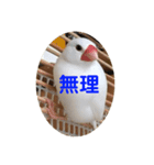ピコ返事2（個別スタンプ：1）