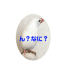 ピコ返事2（個別スタンプ：2）