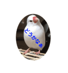 ピコ返事2（個別スタンプ：3）