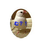 ピコ返事2（個別スタンプ：4）