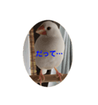 ピコ返事2（個別スタンプ：5）