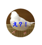ピコ返事2（個別スタンプ：6）