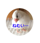ピコ返事2（個別スタンプ：7）