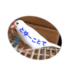 ピコ返事2（個別スタンプ：8）
