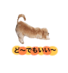 りんくそ（個別スタンプ：3）