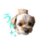 りんくそ（個別スタンプ：5）