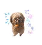 りんくそ（個別スタンプ：7）