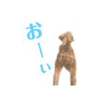 りんくそ（個別スタンプ：8）
