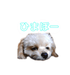 りんくそ（個別スタンプ：10）