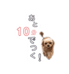 りんくそ（個別スタンプ：11）