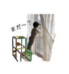 まひろんず。2（個別スタンプ：6）