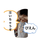 REICHI stamp（個別スタンプ：9）