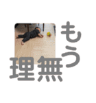 大きなほっぺのお調子者（個別スタンプ：18）