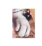 ドルモコの気持ち（個別スタンプ：5）