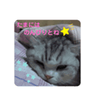 ドルモコの気持ち（個別スタンプ：7）