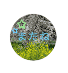 シンプルな日常挨拶（個別スタンプ：8）