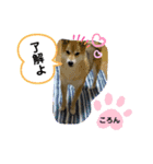 みことわんこ10（個別スタンプ：4）