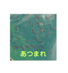 おさかなおさかなスタンプ（個別スタンプ：5）
