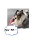 まりんVer.4（個別スタンプ：2）