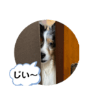 まりんVer.4（個別スタンプ：4）
