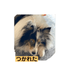 まりんVer.4（個別スタンプ：5）
