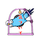 今日のインコ 2（個別スタンプ：2）