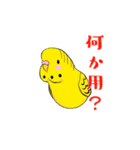 今日のインコ 2（個別スタンプ：8）