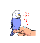 今日のインコ 2（個別スタンプ：16）